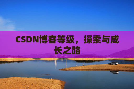 CSDN博客等级,探索与成长之路